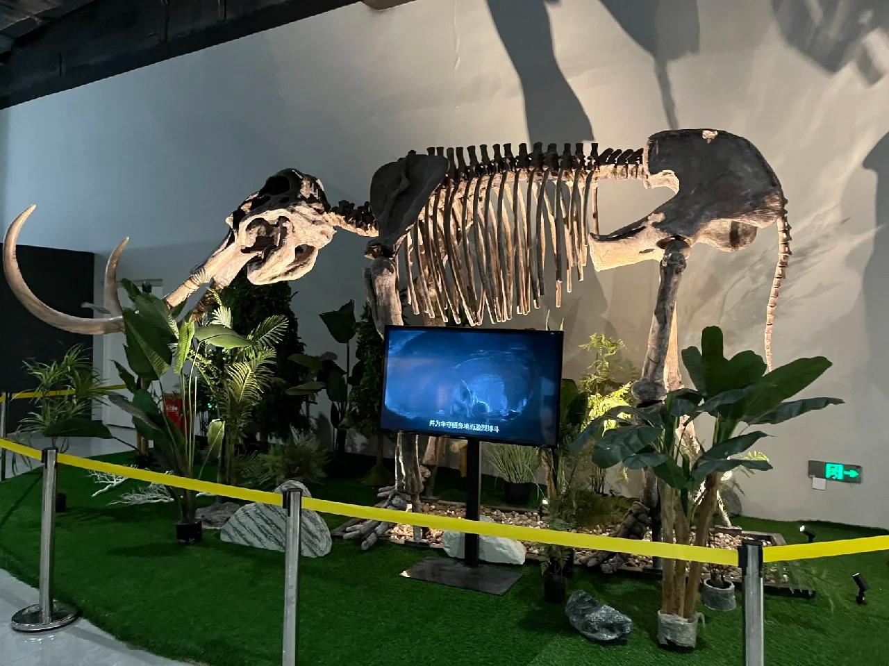 泉州科技馆是泉州市政府重点建设的文化科技公共项目,位于丰泽区东海