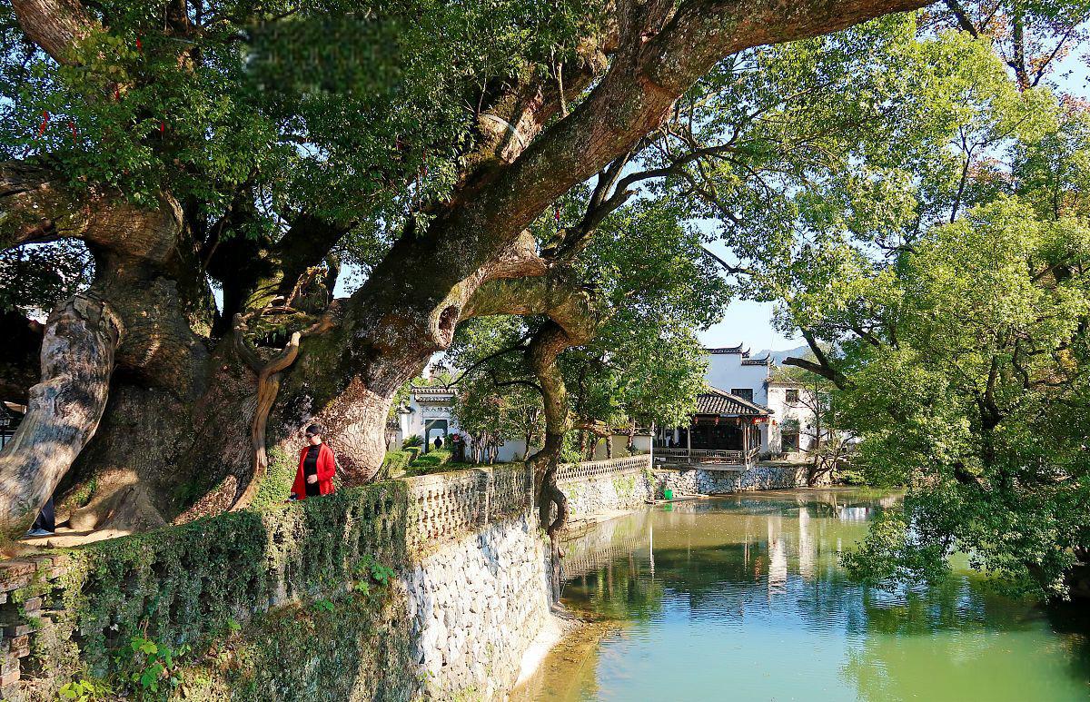 探秘千年古村落,西溪南景区.@梁小布的旅行坊的动态