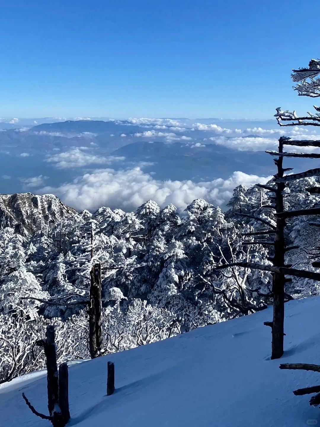 仓山雪图片图片