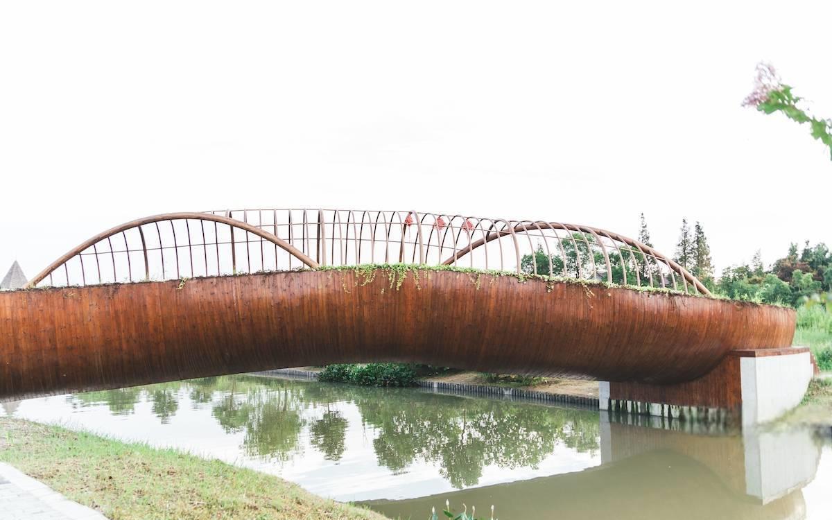 漕泾郊野公园:探索城市郊野,感受大自然的魅力 秋意渐浓,周末出游正