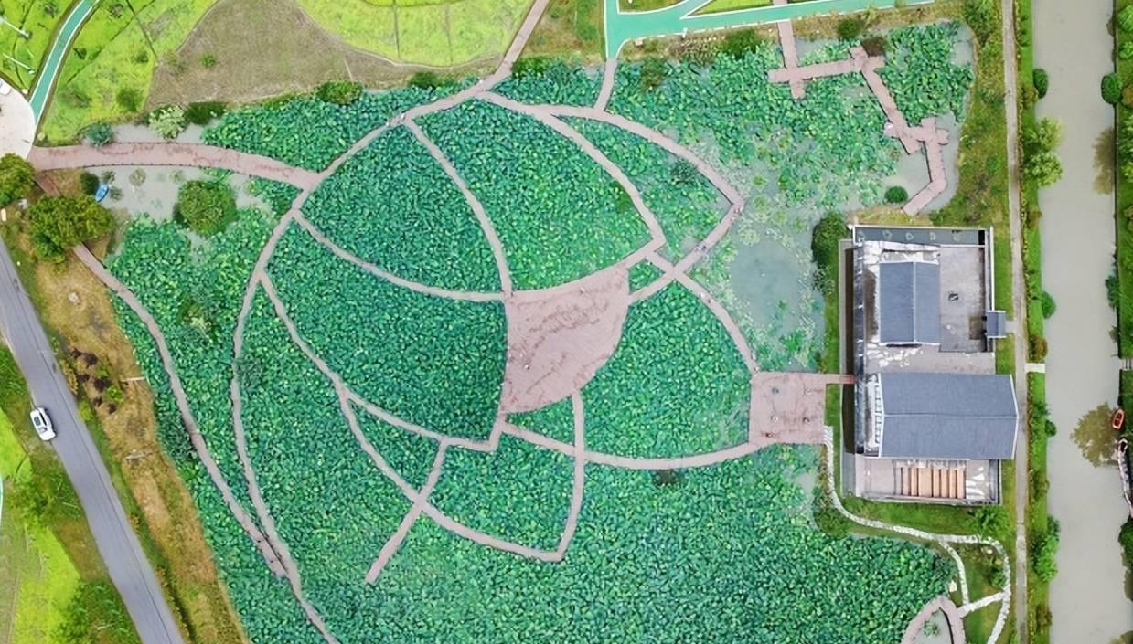 漕泾郊野公园:探索城市郊野,感受大自然的魅力 秋意渐浓,周末出游正