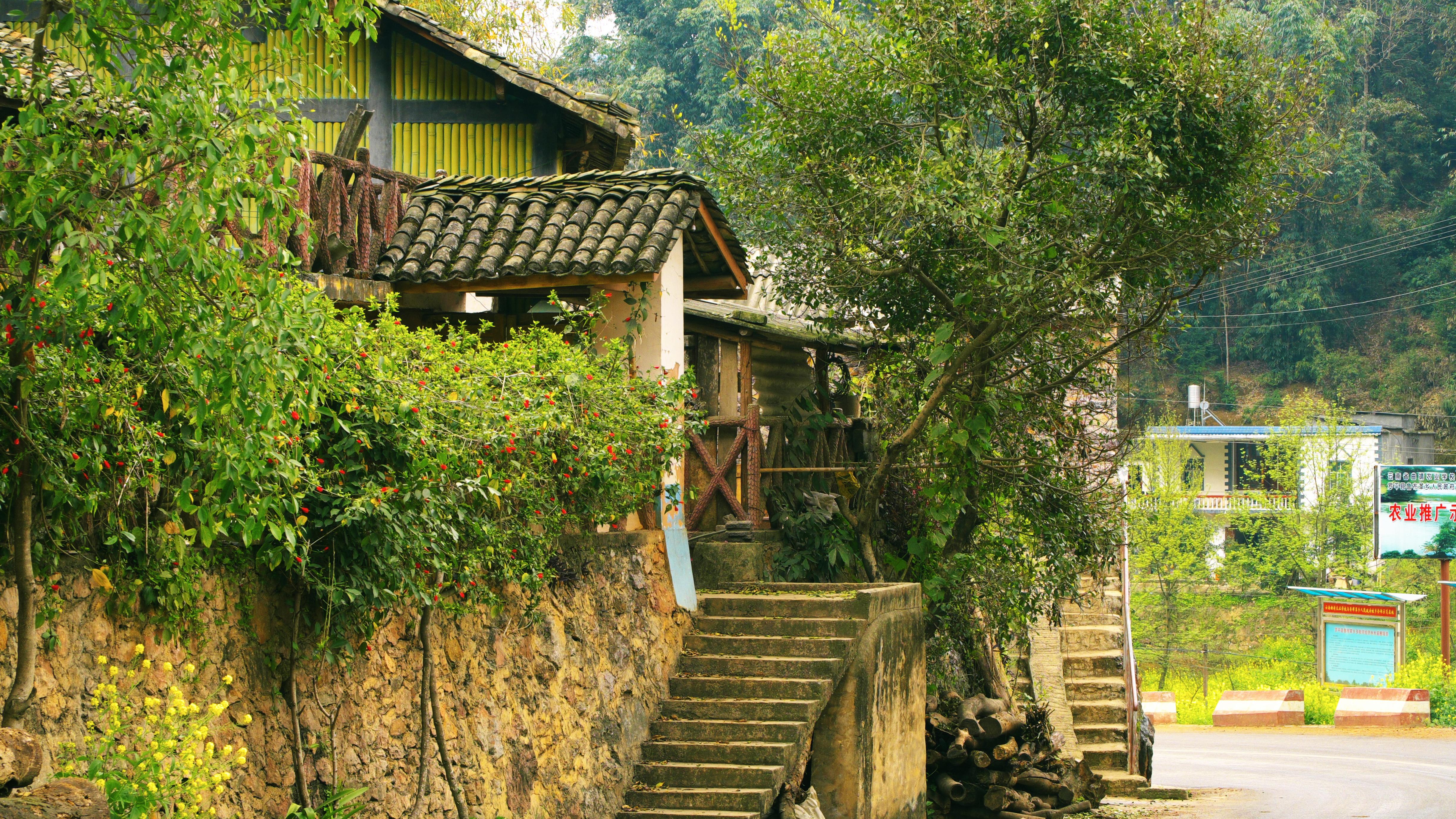 多依河风景区:云南罗平的世外桃源 多依河风景区位于云南省罗平县城