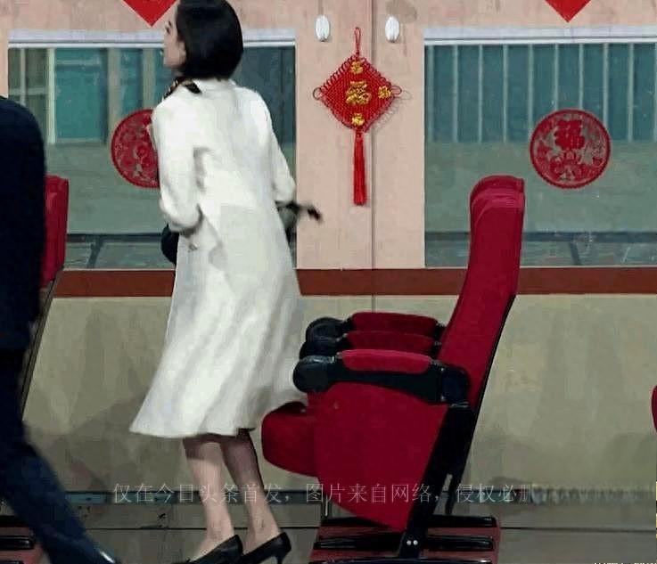 倪妮:从困境中崛起的坚韧之美 在2021年春晚的舞台上,倪妮的惊艳之美