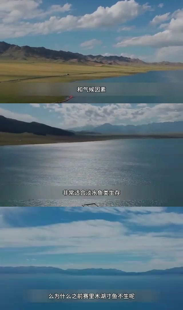 赛里木湖为什么没有鱼