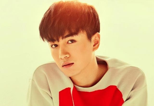 在娱乐圈的繁华世界里,陈晓以其深沉的眼神和独特的魅力征服了观众