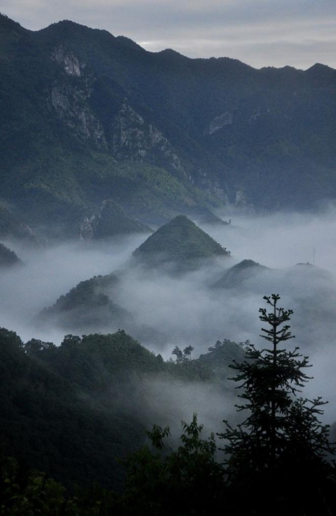 雾中的美景:如梦如幻的场景 9115朦胧而飘渺的雾