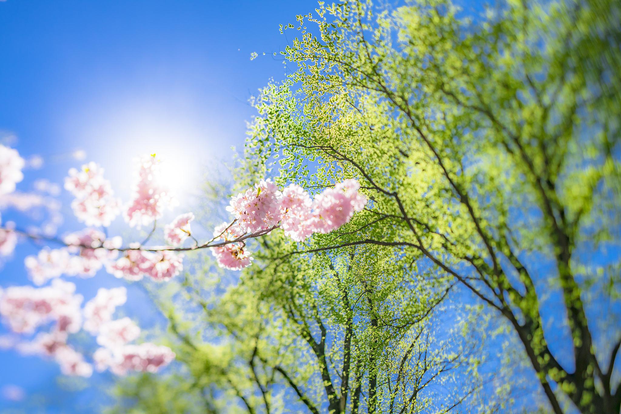 春天的美好:万物复苏,生命的季节 春天是一个充满生机和活力的季节