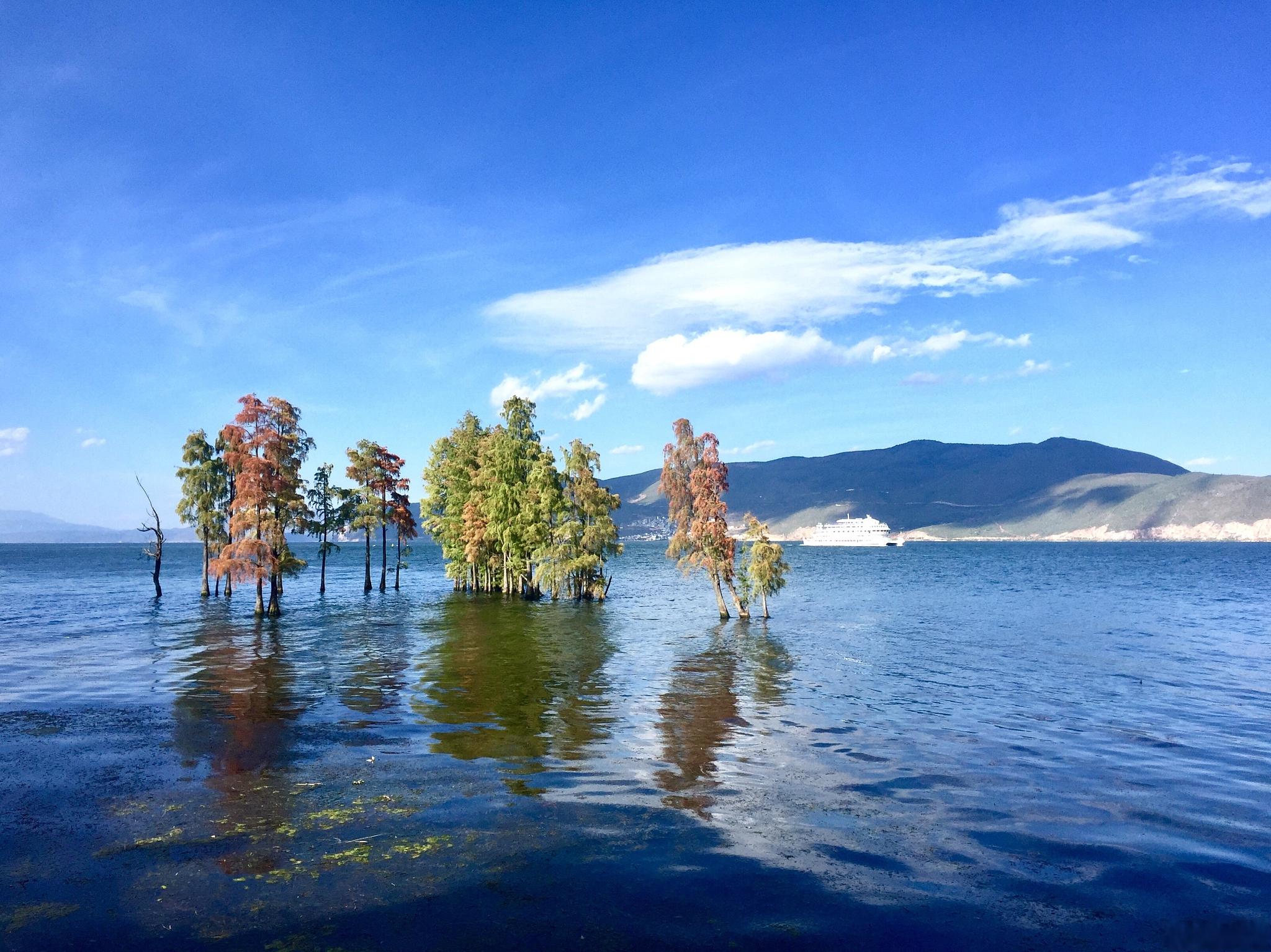 高原明珠的自然与人文魅力 云南抚仙湖,这颗位于玉溪市澄江县的高原