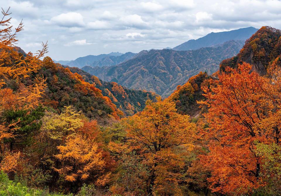 南江光雾山:邂逅秋日的治愈之旅 秋天的南江光雾山,宛如一幅五彩斑斓