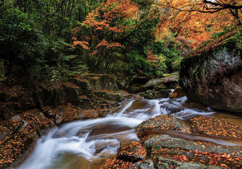 南江光雾山:邂逅秋日的治愈之旅 秋天的南江光雾山,宛如一幅五彩斑斓