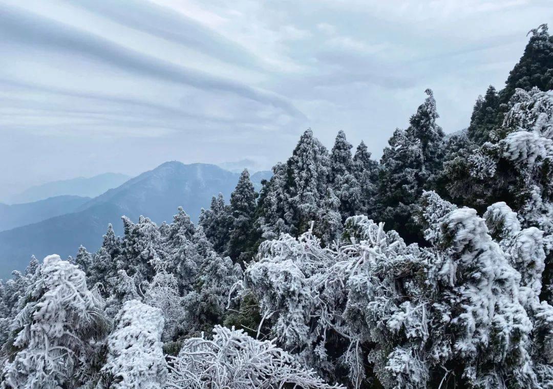 南岳雾凇图片高清图片