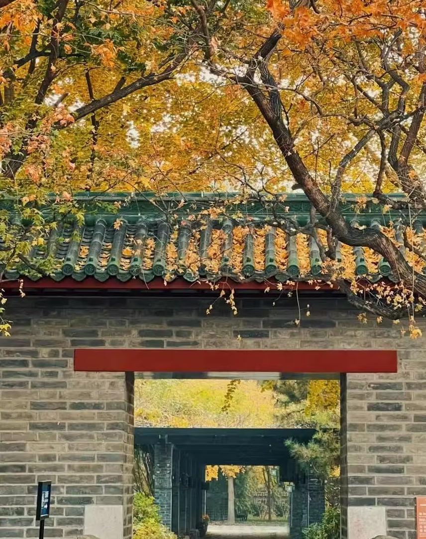 探访北京西城区月坛公园,感受历史与文化的交融!