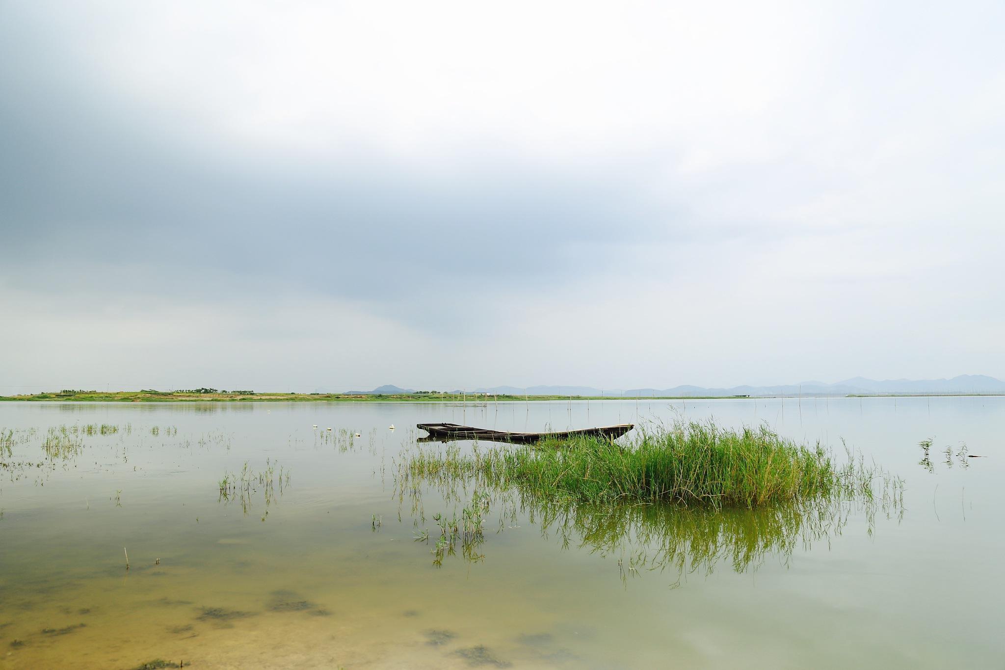 探寻鄱阳湖的绝美风光 鄱阳湖,中国最大的淡水湖,也是全球重要的生态