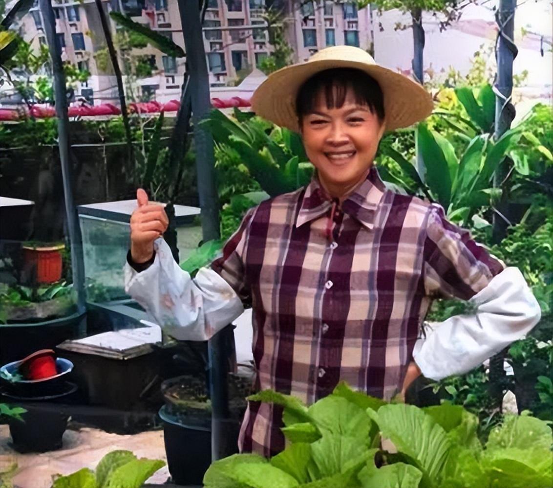 广东电视主持人陈旭然等已悄然淡出荧屏 广东电视台曾经拥有马婷