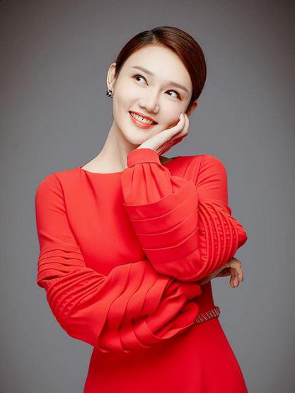 龙洋:央视当红主持人,才华横溢魅力无限 龙洋,央视的当红主持人,以其