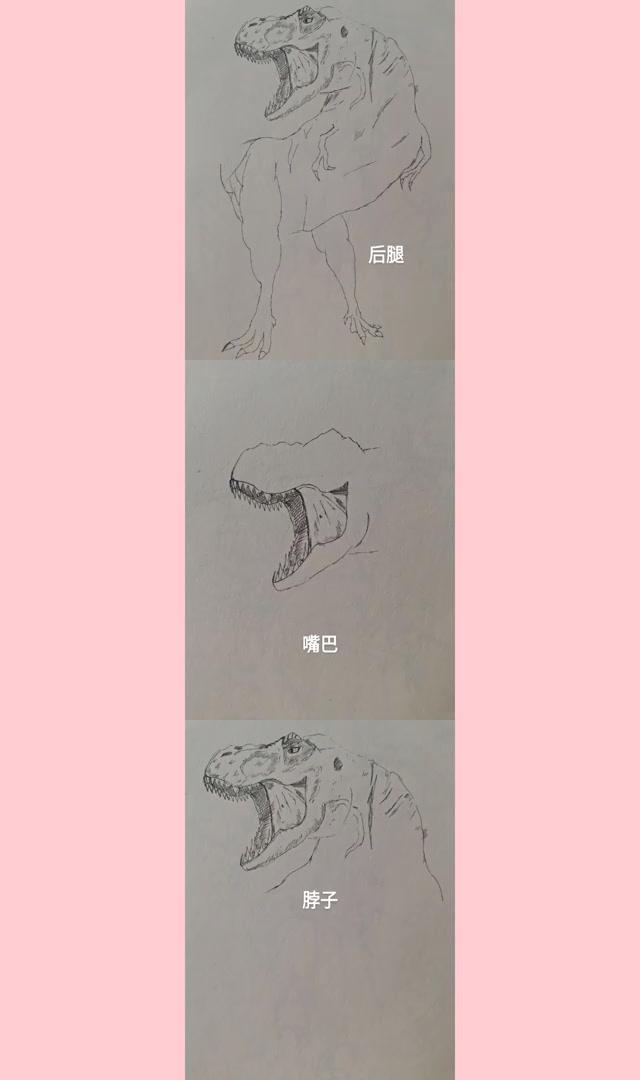 霸王龙画法教程 如何画出逼真的黑化霸王龙?