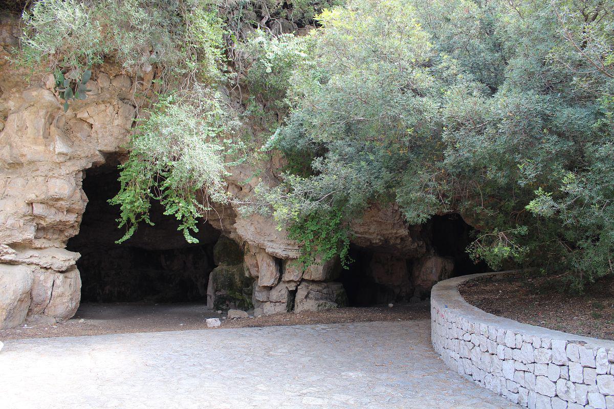 探秘长沙岳麓山蟒蛇洞:传说背后的神秘故事 蟒蛇洞,岳麓山之谜,藏于