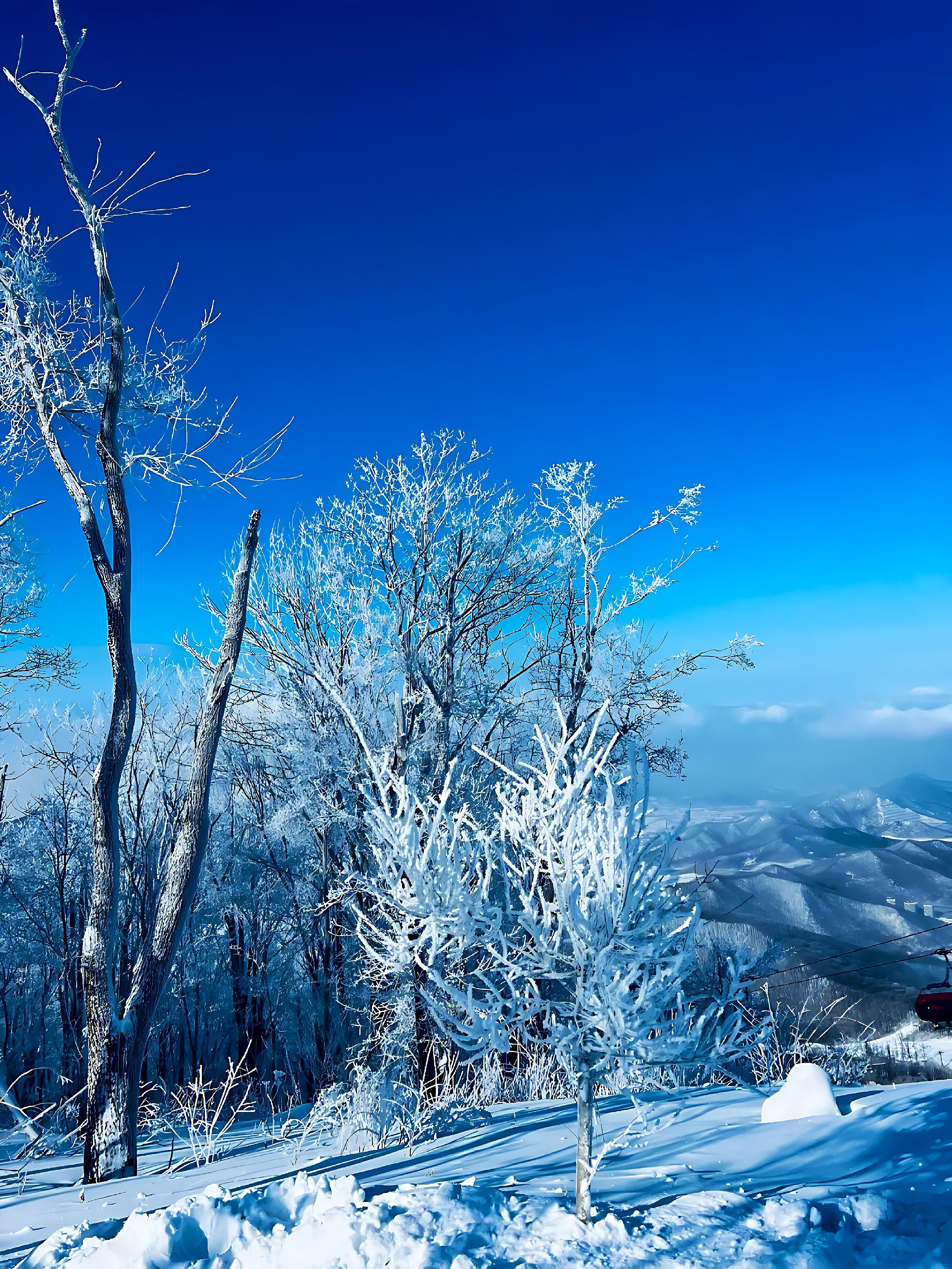 松花湖滑雪场,位于吉林省吉林市丰满区,是东北地区最大的滑雪胜地之一