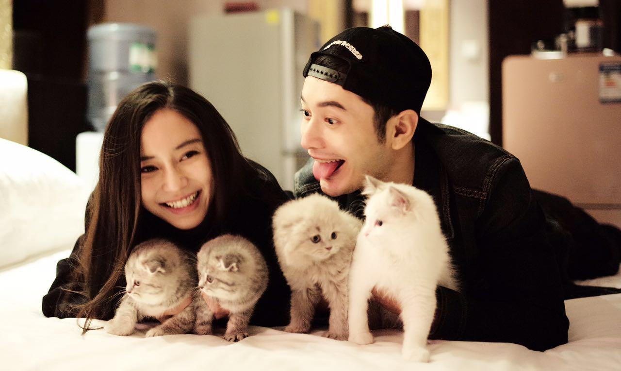 黄晓明父子温馨照:亲子时光背后的市场洞察 元旦当天,黄晓明在社交