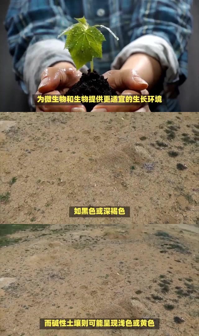 判断土壤酸碱性的小妙招:观察,闻味与试纸测试 为了更好地了解和改善