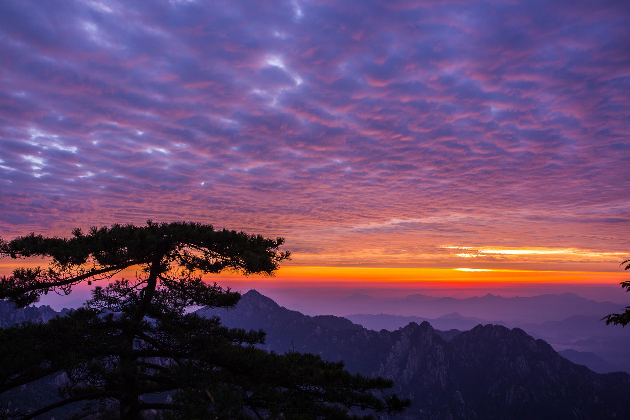 黄山云海 壁纸图片