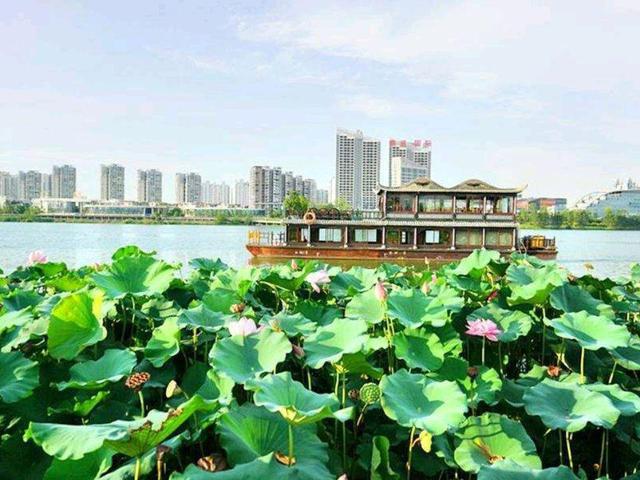 湖北孝感市观音湖风景区:人间仙境 湖北孝感市的观音湖风景区是一处集