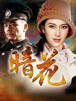 《暗花》:正义与黑暗的较量 电视剧《暗花》是一部充满悬疑和惊险的