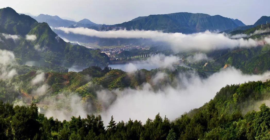 苍南玉苍山图片