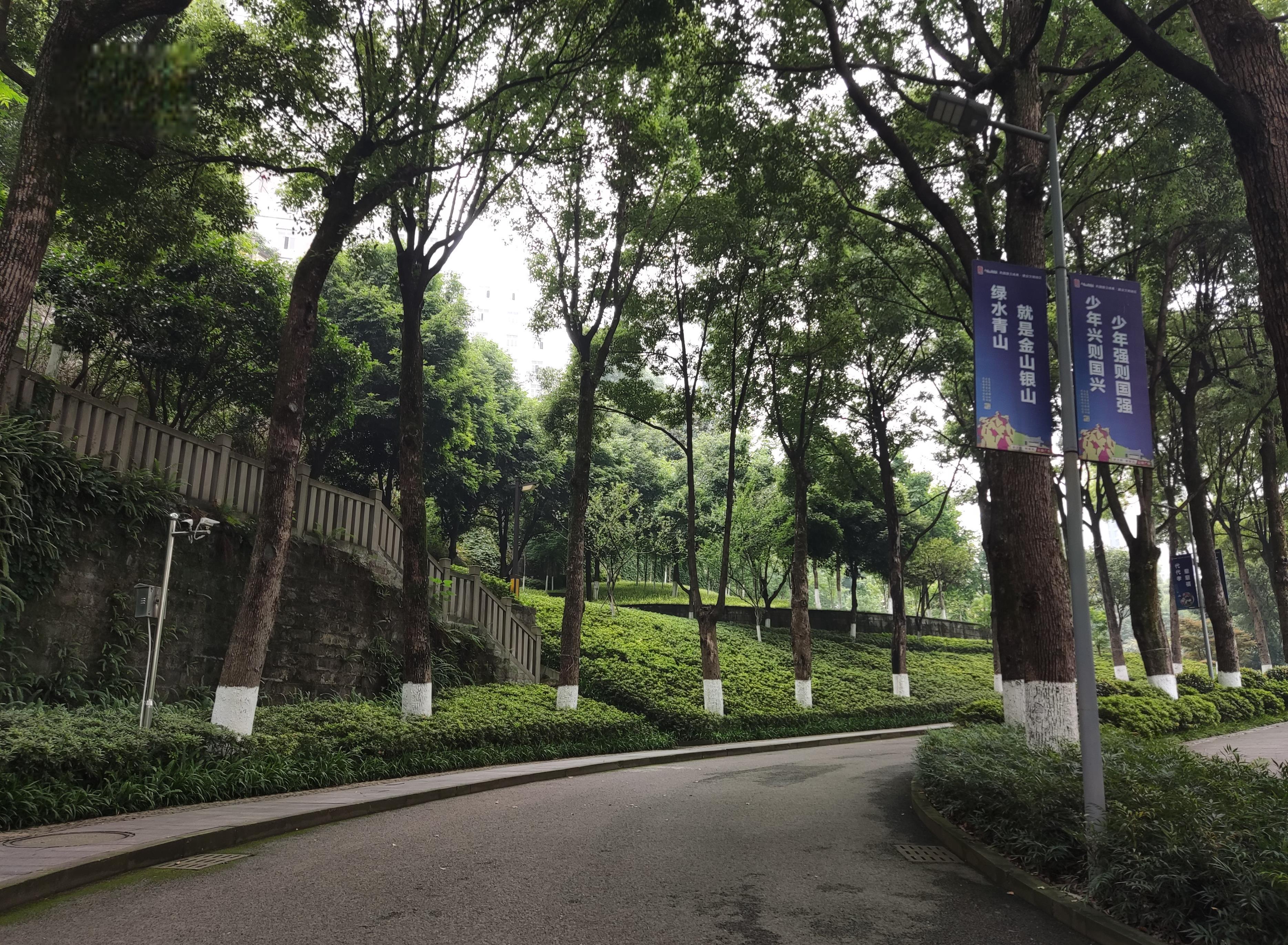 沙坪坝文化瑰宝:绿壁公园 沙坪坝是重庆的文化瑰宝,拥有顶级教育资源