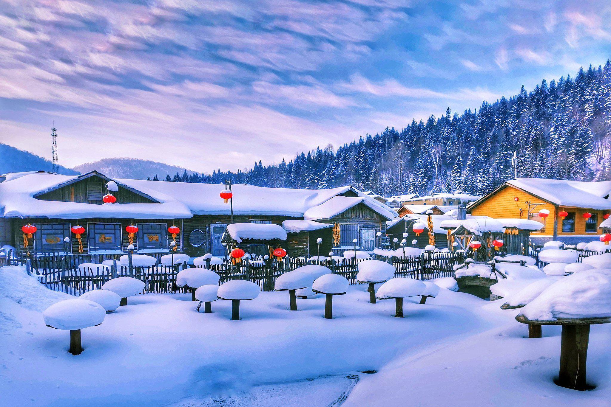 想要体验一场独特的雪乡之旅吗?