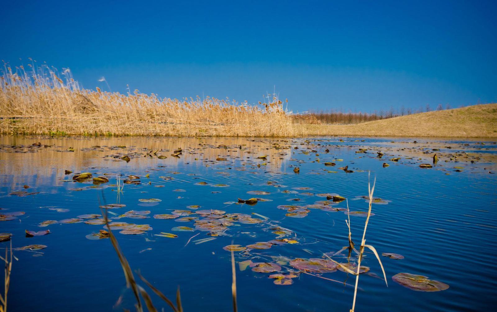 崇明岛东滩湿地公园:自然与人.@杜小二谈旅行的动态