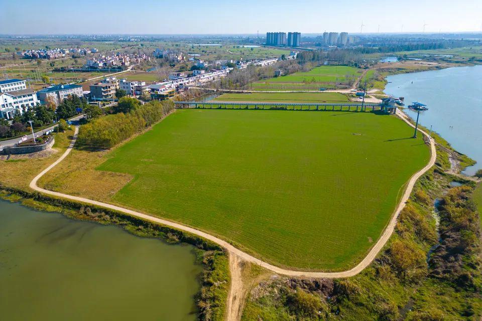 千里淮河第一闸 你是否知道,在安徽阜南县境内,隐藏着一座名为"王家坝