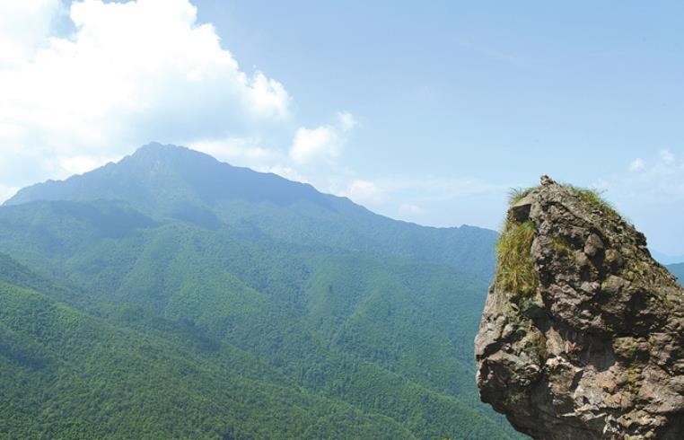 九岭山国家森林公园图片