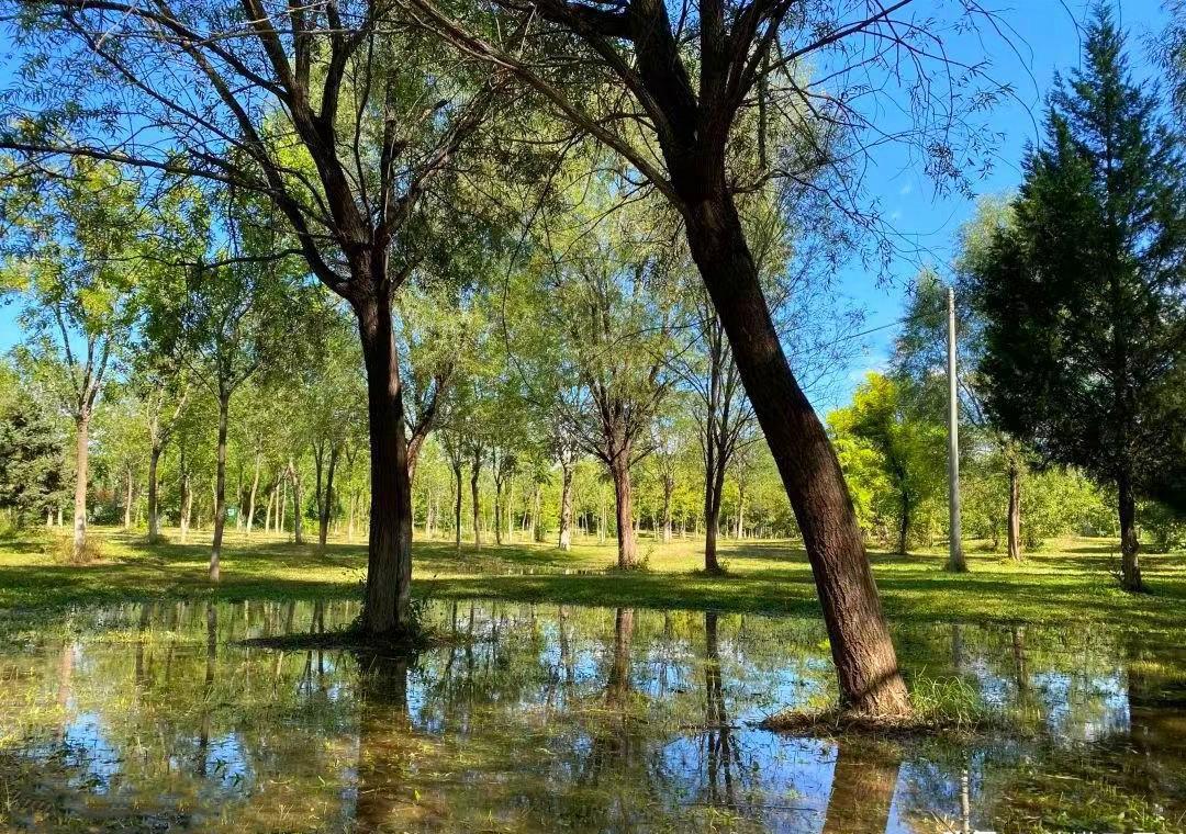 秋日仙境——朝来森林公园 寒露已至,秋天的气息越来越浓.