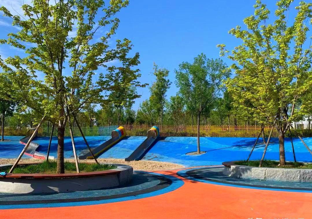 秋日仙境——朝来森林公园 寒露已至,秋天的气息越来越浓.