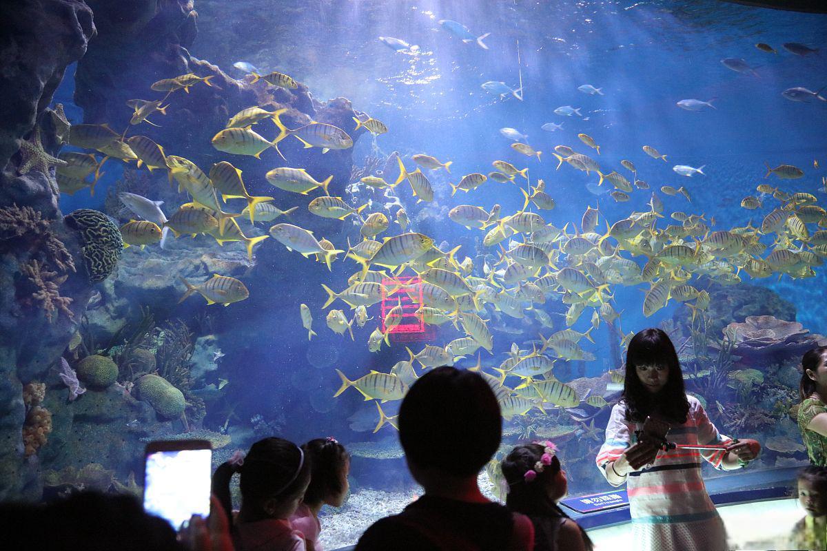 沈阳极地海洋世界图片