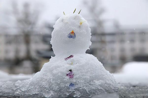冬日雪景中的商机:成都雪人市场的新篇章 在冬日的成都,雪景带来了