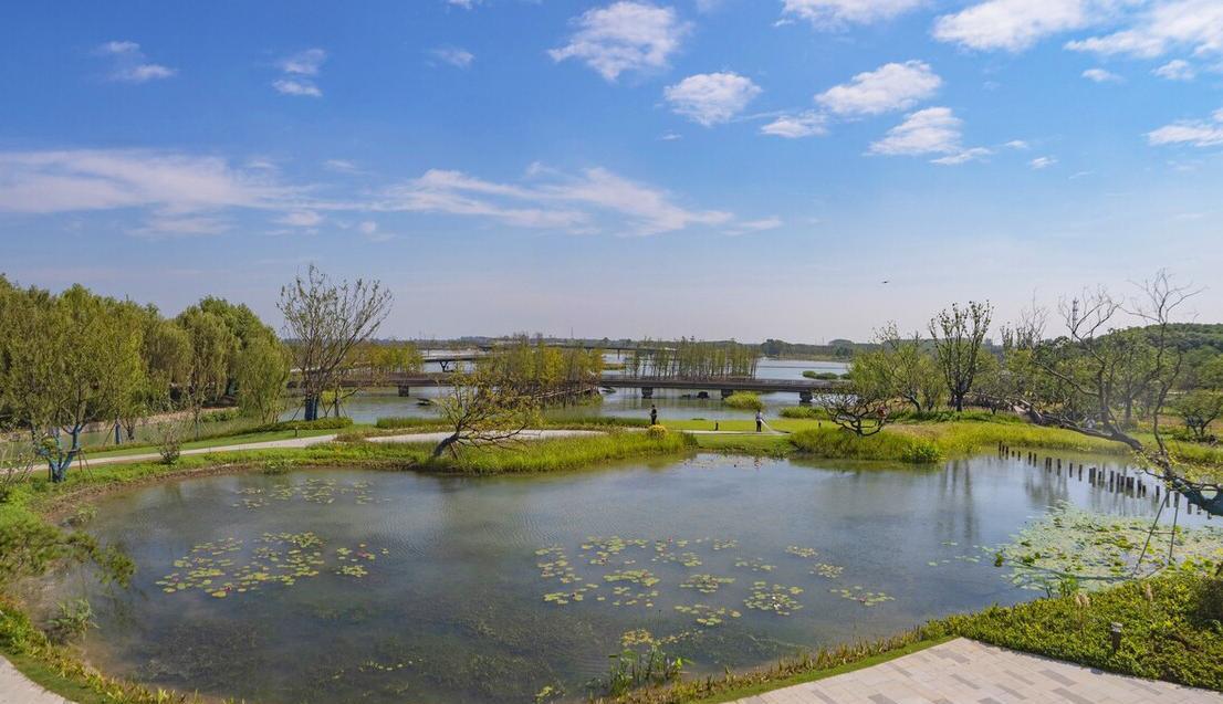 元荡湖:沪苏交界的一颗璀璨明珠 元荡湖,这个位于上海青浦与江苏吴江