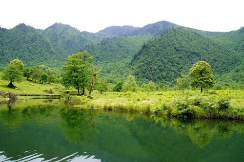 中国百慕大黑竹沟图片