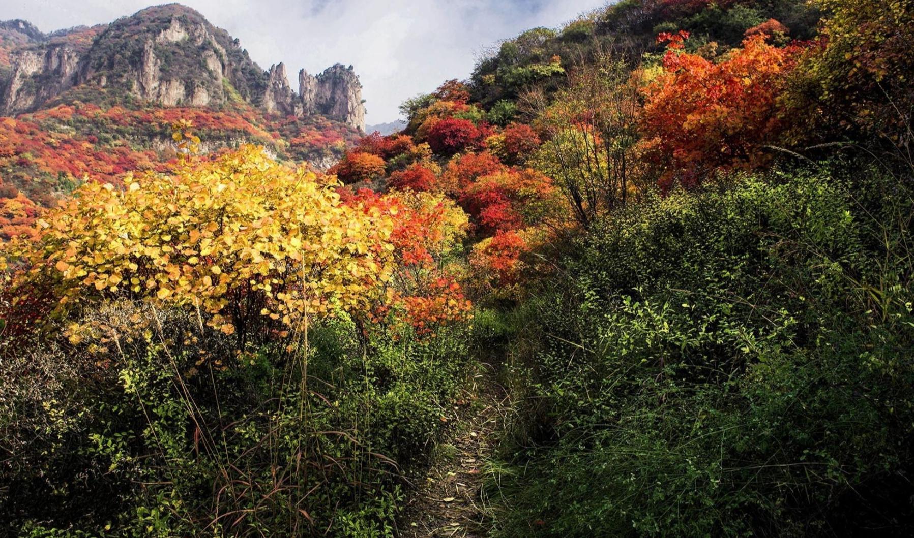 畅游太行山大峡谷 太行山大峡谷,位于晋豫两省交界,山西省长治市壶关