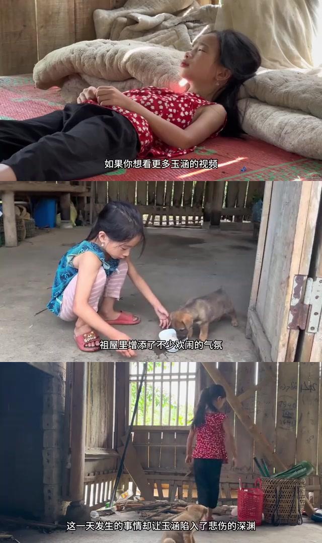 玉涵,一个七岁的女孩,家门大开,小狗不见.