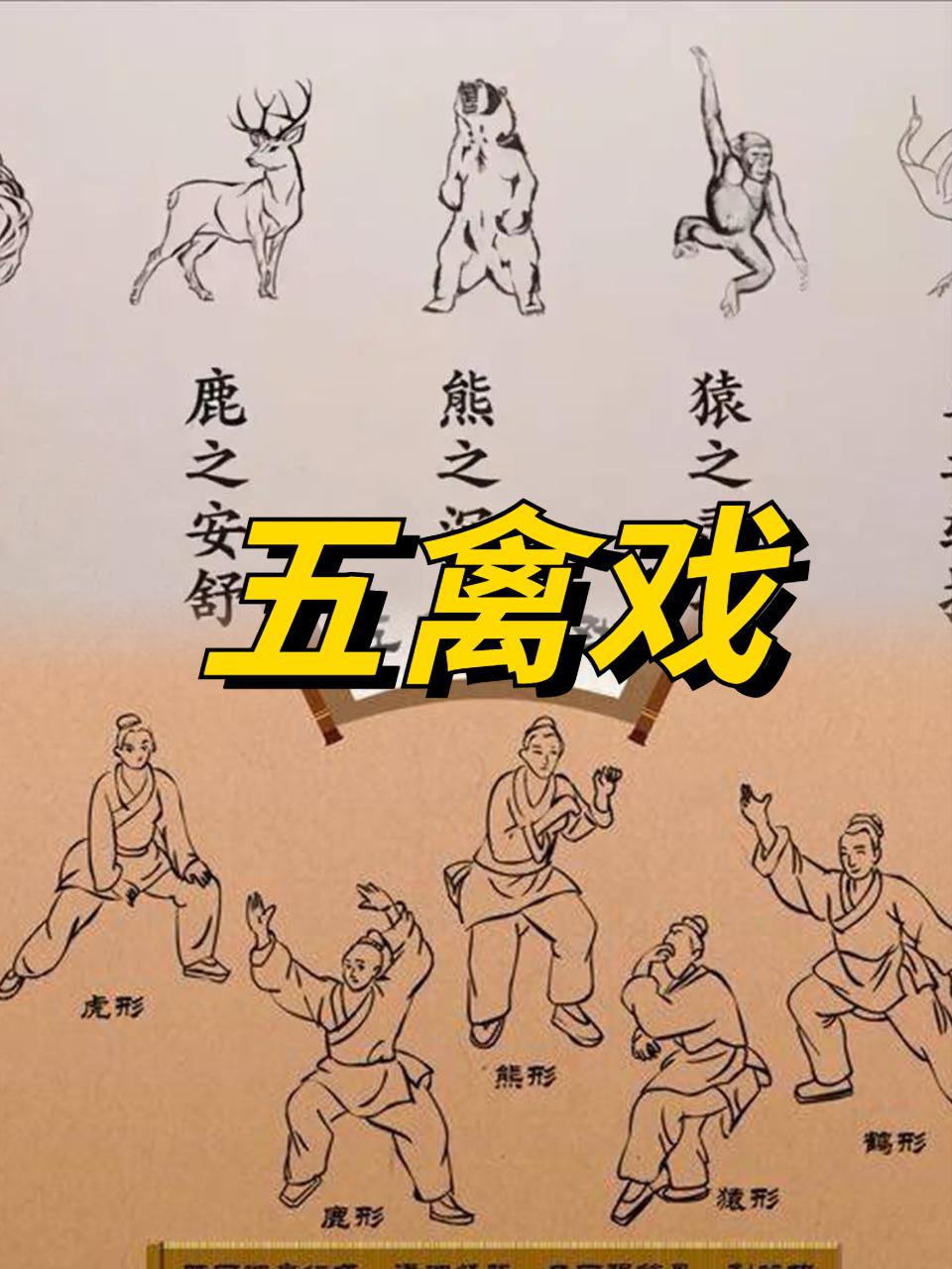 五禽戏的五种动物 五禽戏是哪五种动物?