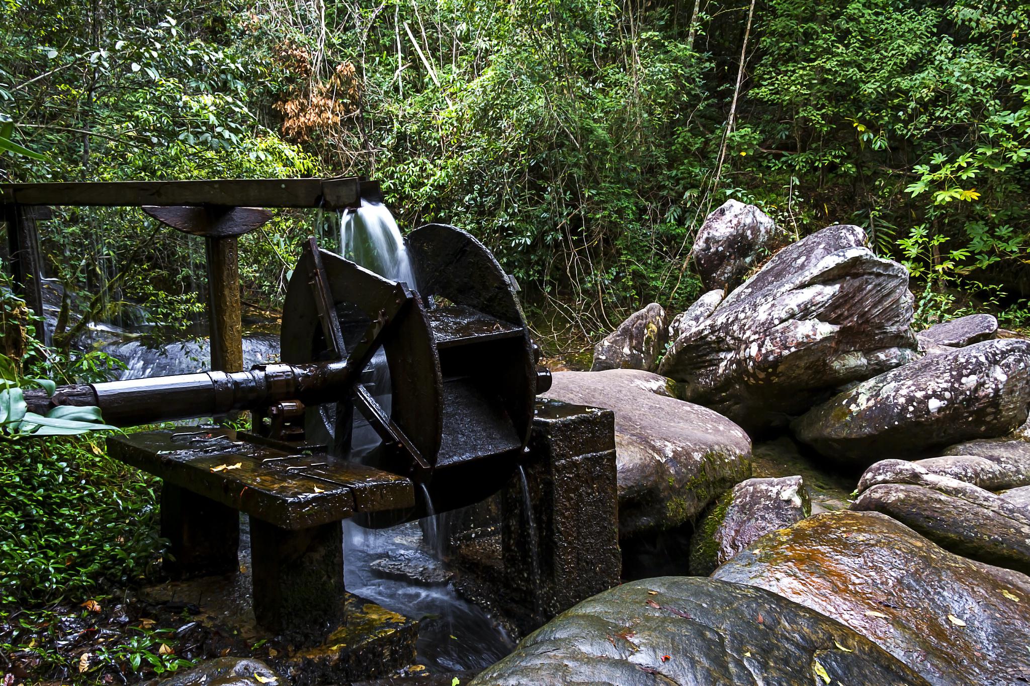 大自然的舞台 莫干山,天目山的余脉,宛如一条卧龙横亘在湖州市德清县