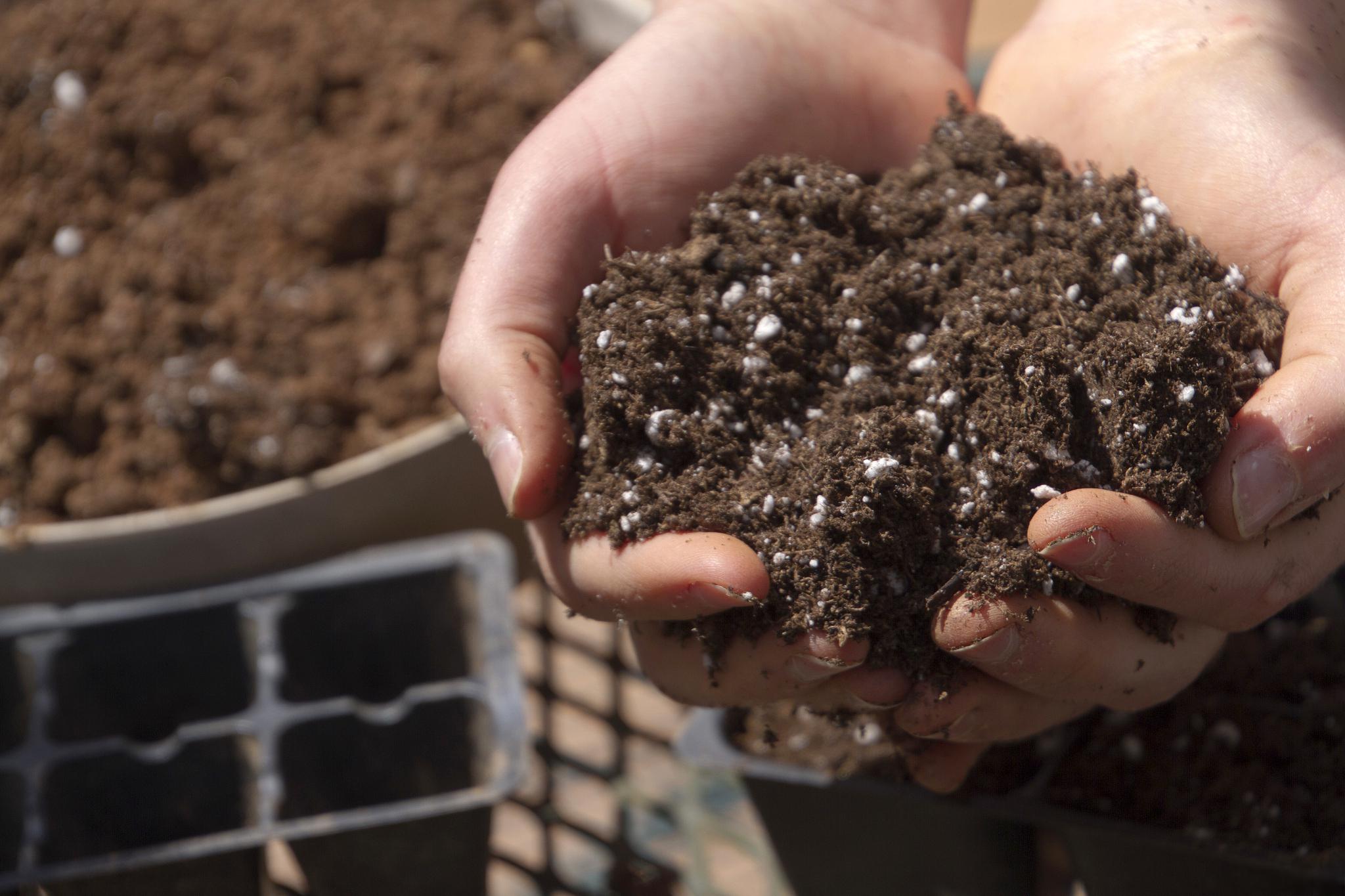 本文将为大家揭秘一种简单易行的自制营养土方法,绝对比买来的更合算