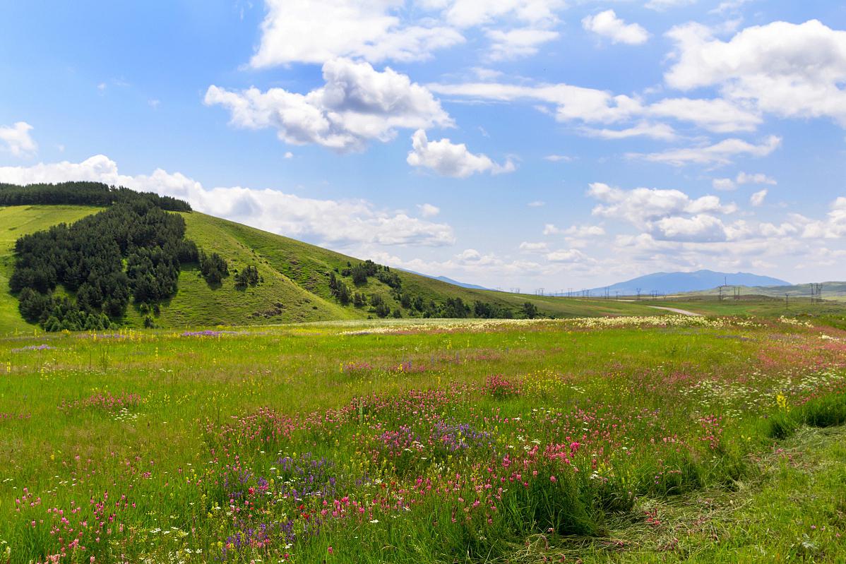 与大自然亲密接触的绝佳选择 乌鲁木齐南山牧场位于天山北坡,是一块