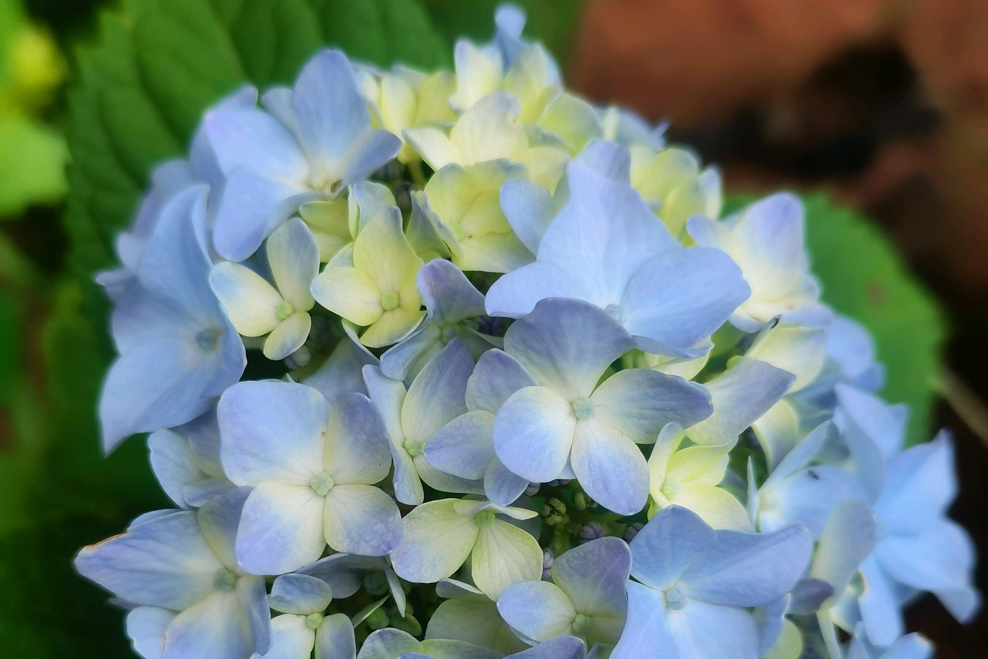 景区未来的四大发展趋势 随着时代的变迁,旅游业已逐渐崭露头角,成为