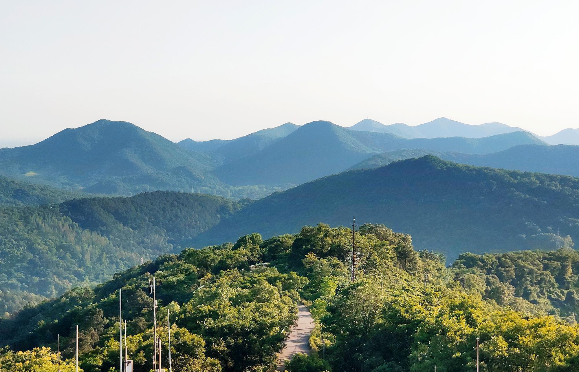 老山休闲森林公园图片