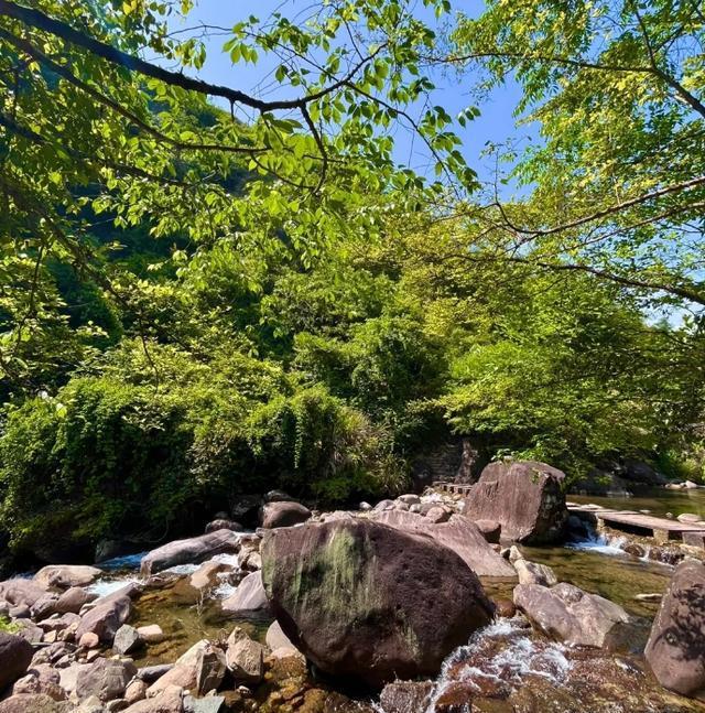 梅树底景区是一处深藏不露的4a级景点,位于浙江省衢州市常山县梅树底