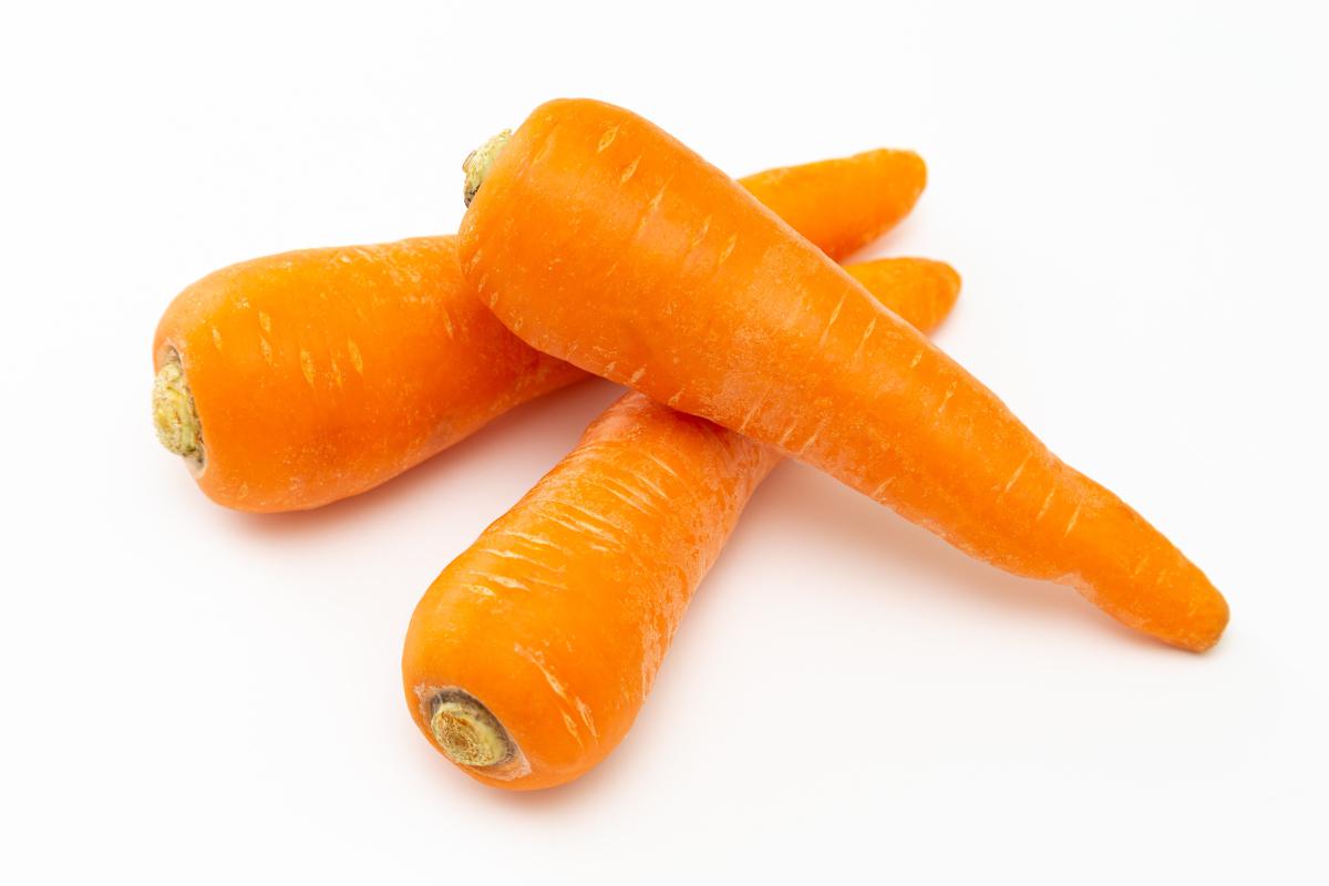 胡萝卜种植时间的选择 胡萝卜喜欢温和凉爽的气候,生长适宜的温度范围