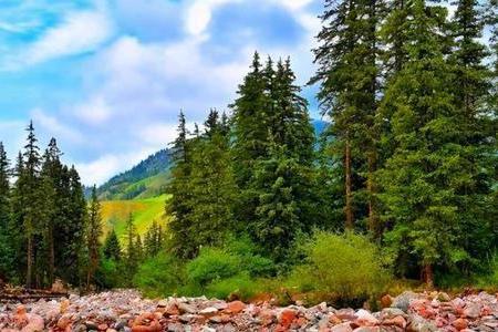 祁连县的冰沟林海:一个鲜为人知的小众秘境 祁连县,青海的"北大门",藏